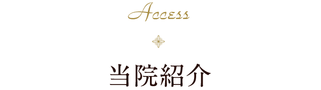 Access 当院紹介