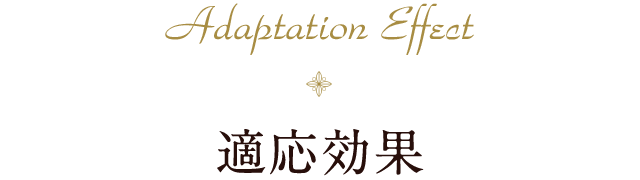 Adaptation Effect 適応効果